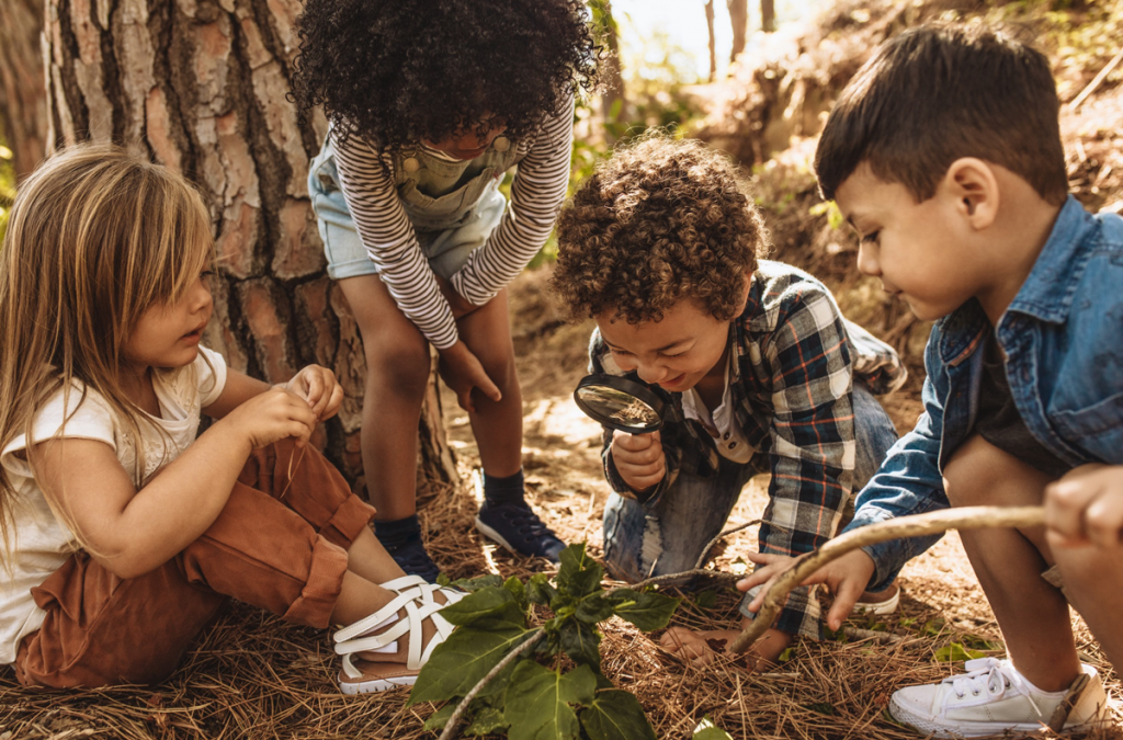 children playing in woods